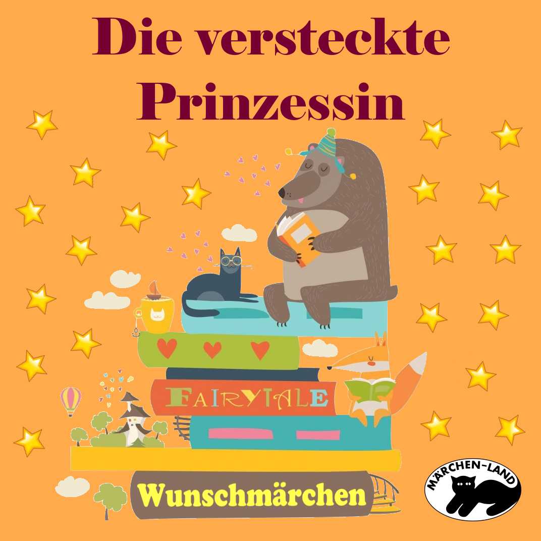 Cover: Die versteckte Prinzessin
